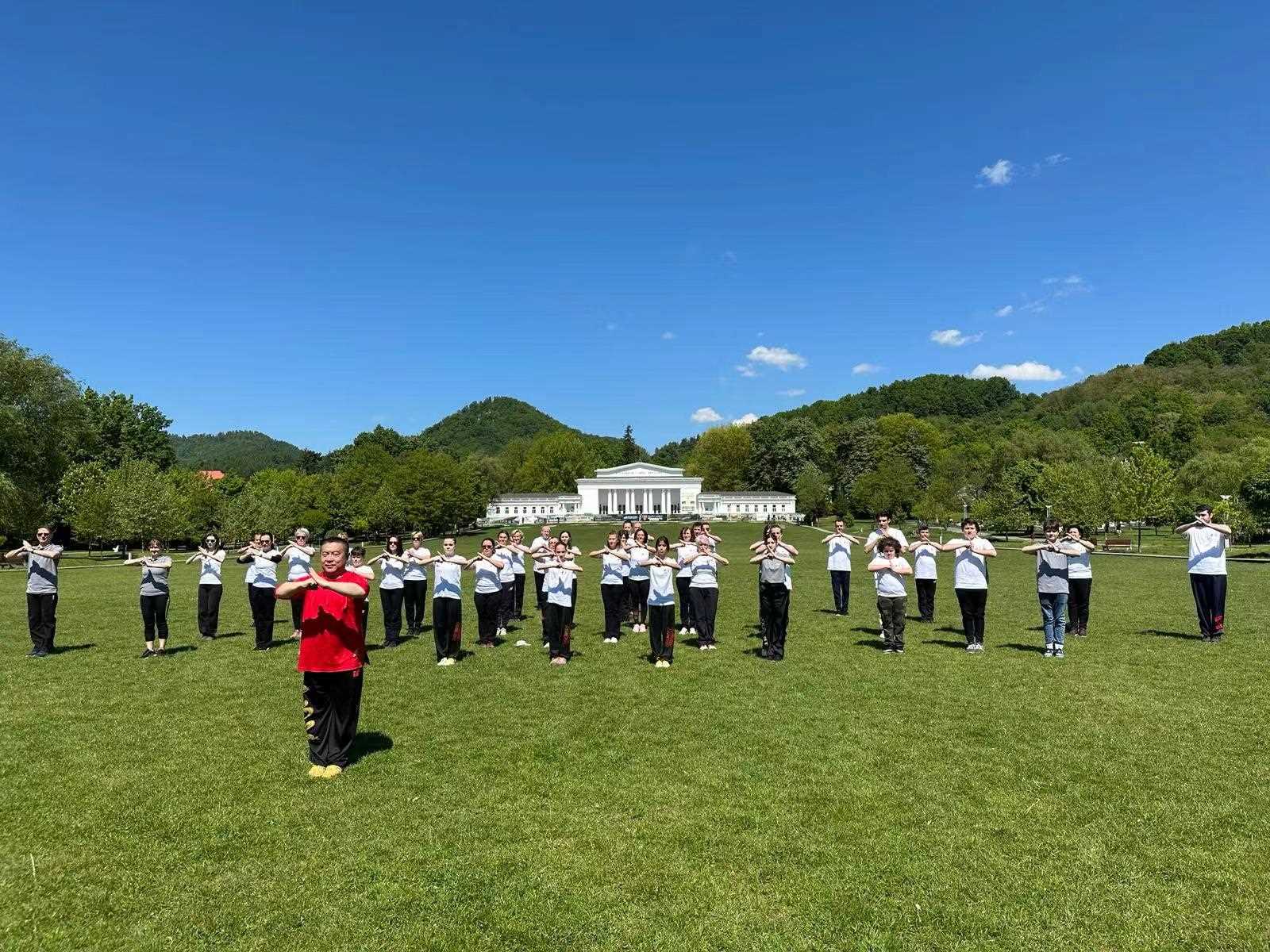 北京體育大學教授武冬帶領學員進行太極拳演練。布加勒斯特中國文化中心供圖