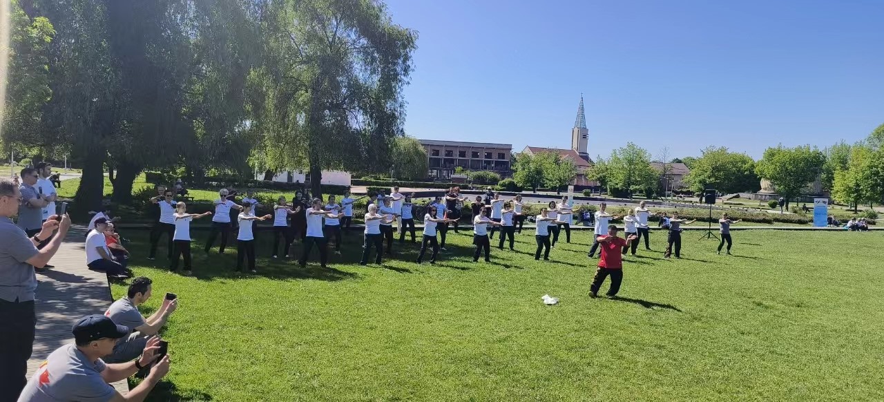 北京體育大學教授武冬做太極拳進階教學。布加勒斯特中國文化中心供圖