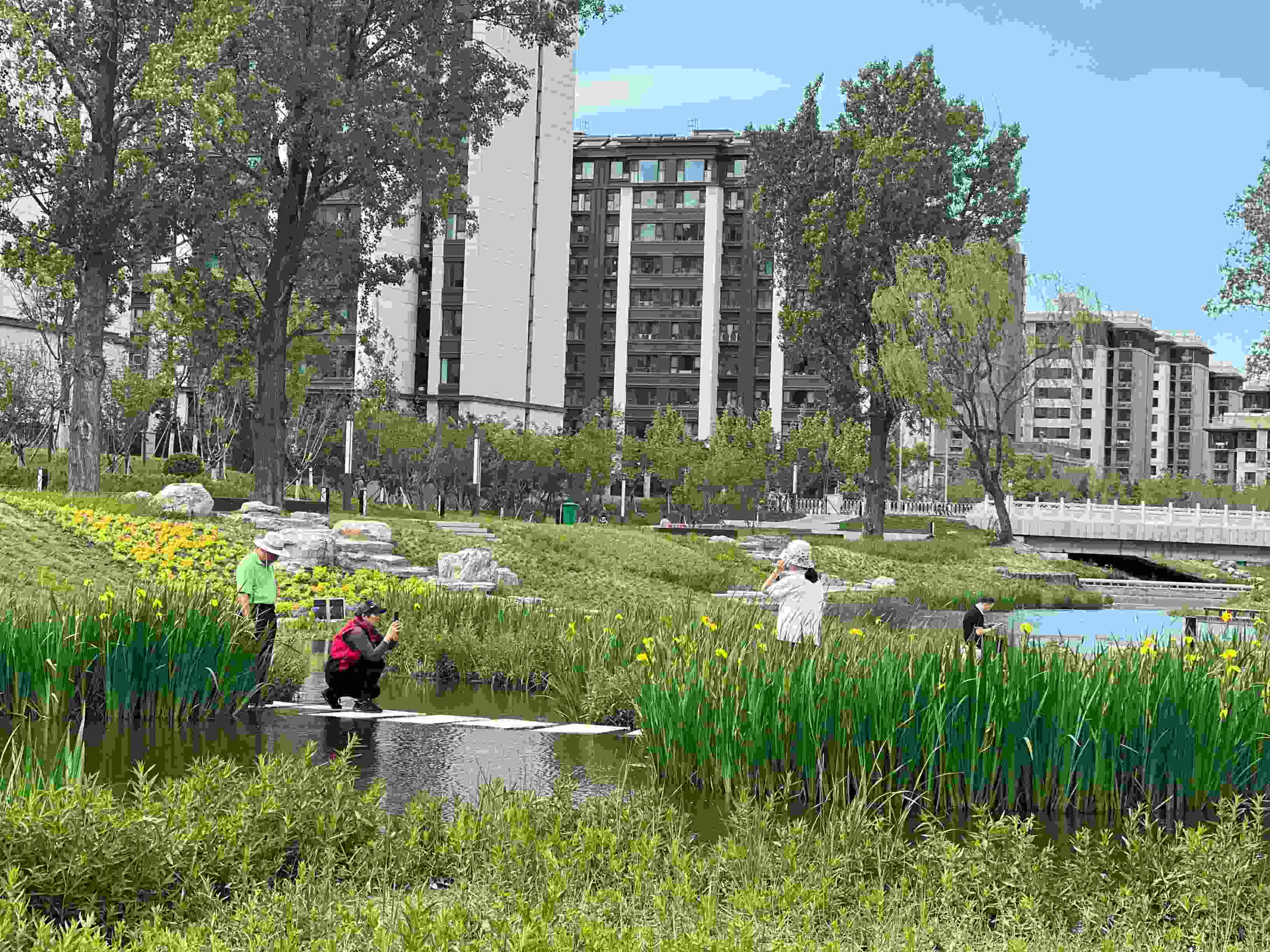 五一渠生態(tài)濱河公園內(nèi)，市民正在拍照留念。人民網(wǎng) 歐陽(yáng)易佳攝