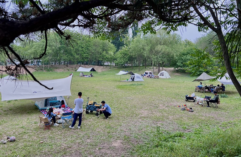 “自駕+露營”等多元模式受熱捧。人民網記者 王連香攝