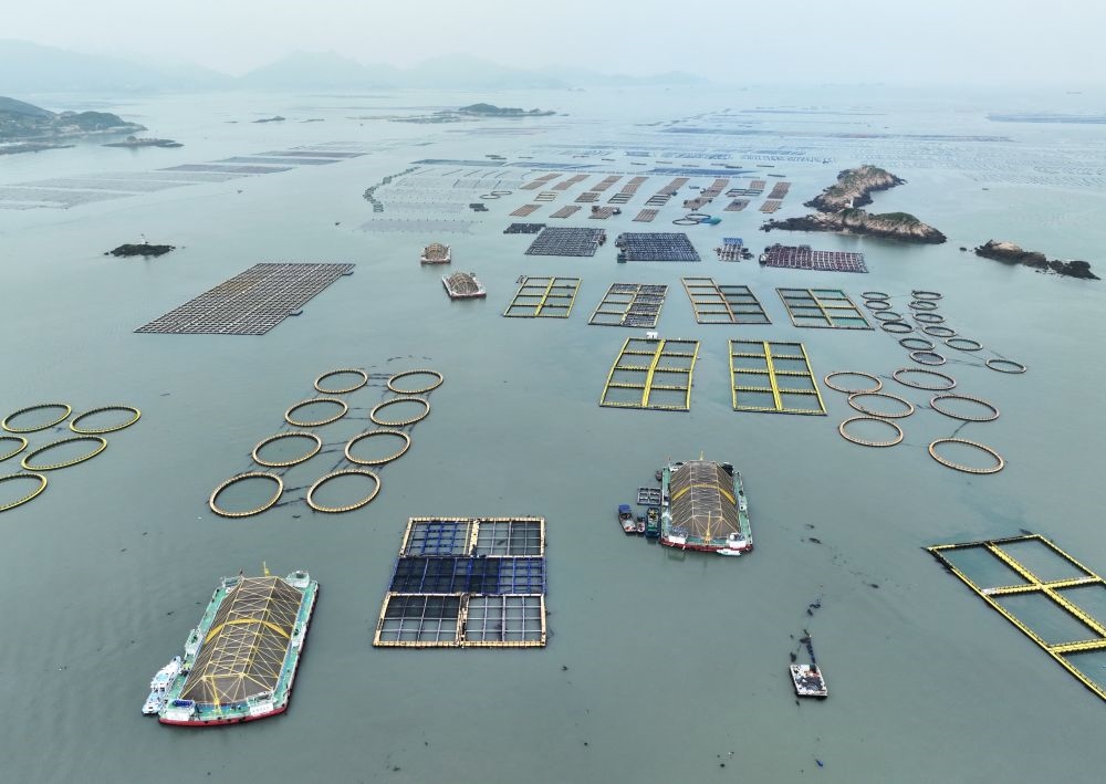 在福建連江定海灣海域，坐落著“定海灣1號”“定海灣2號”等深遠(yuǎn)海養(yǎng)殖平臺(tái)（2024年5月7日攝，無人機(jī)照片）。新華社記者 林善傳 攝