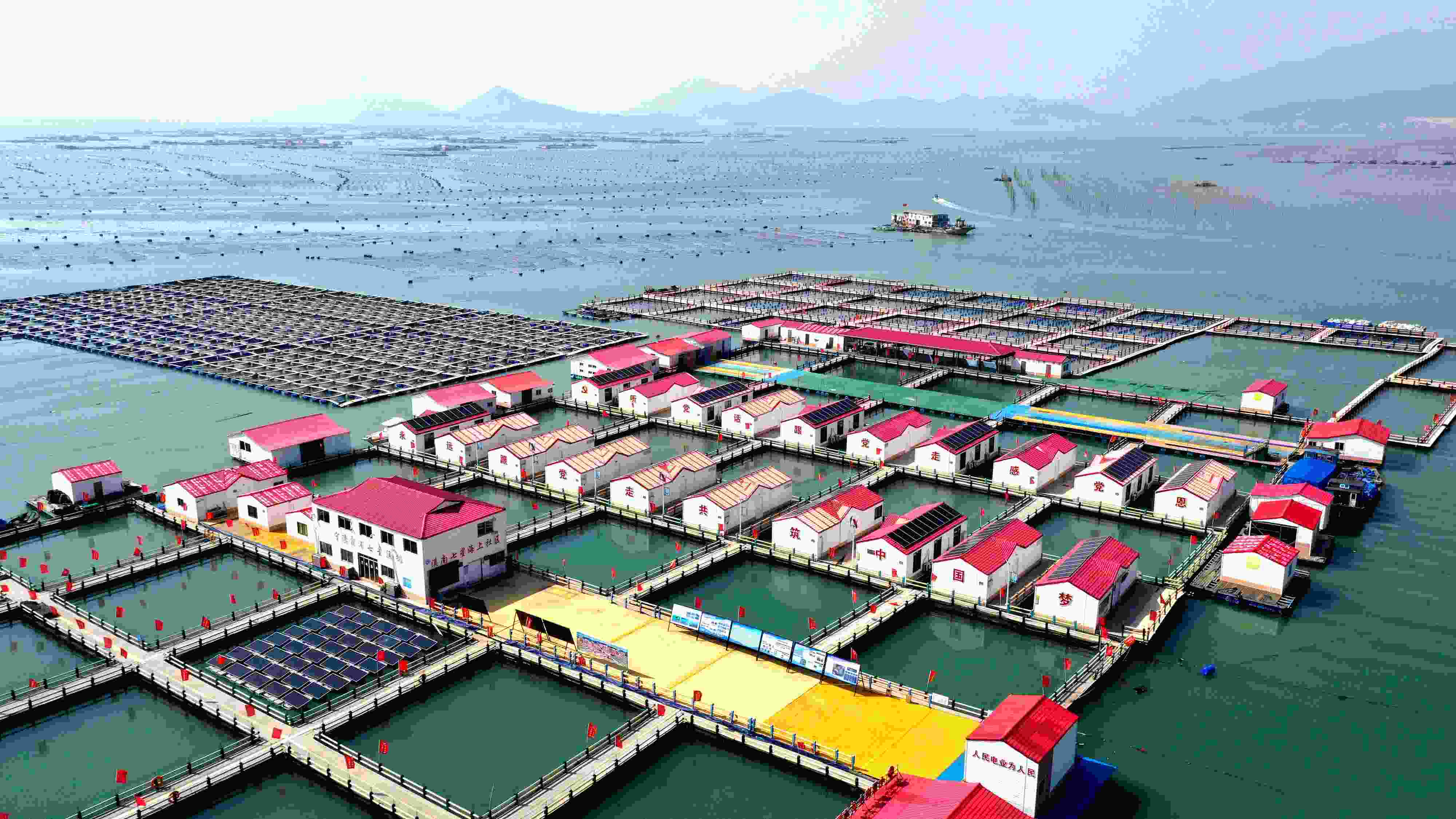 2024年3月20日，福建省寧德市，霞浦縣溪南鎮(zhèn)七星村漁排養(yǎng)殖示范區(qū)，漁民駕駛養(yǎng)殖船進行海參養(yǎng)殖作業(yè)。