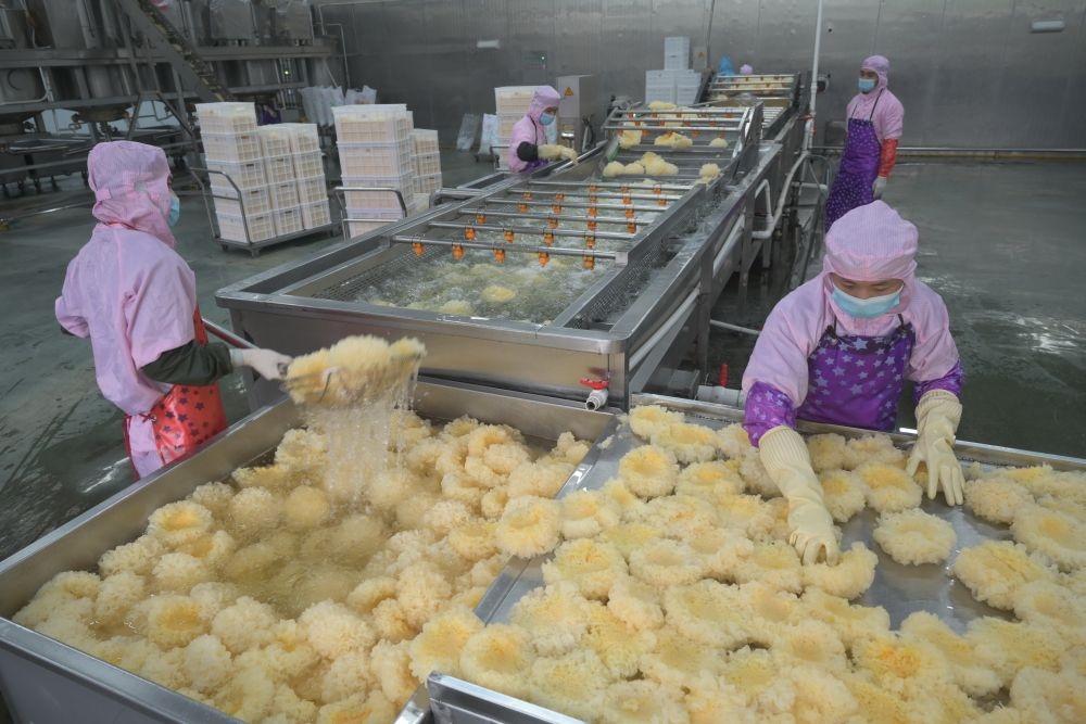 2024年5月10日，在福建省寧德市古田縣，一家食品公司的工作人員在挑選清洗銀耳。新華社記者 林善傳 攝