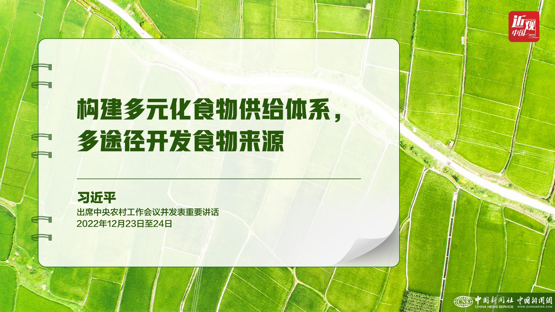 習近平：樹立大食物觀，構建多元化食物供給體系