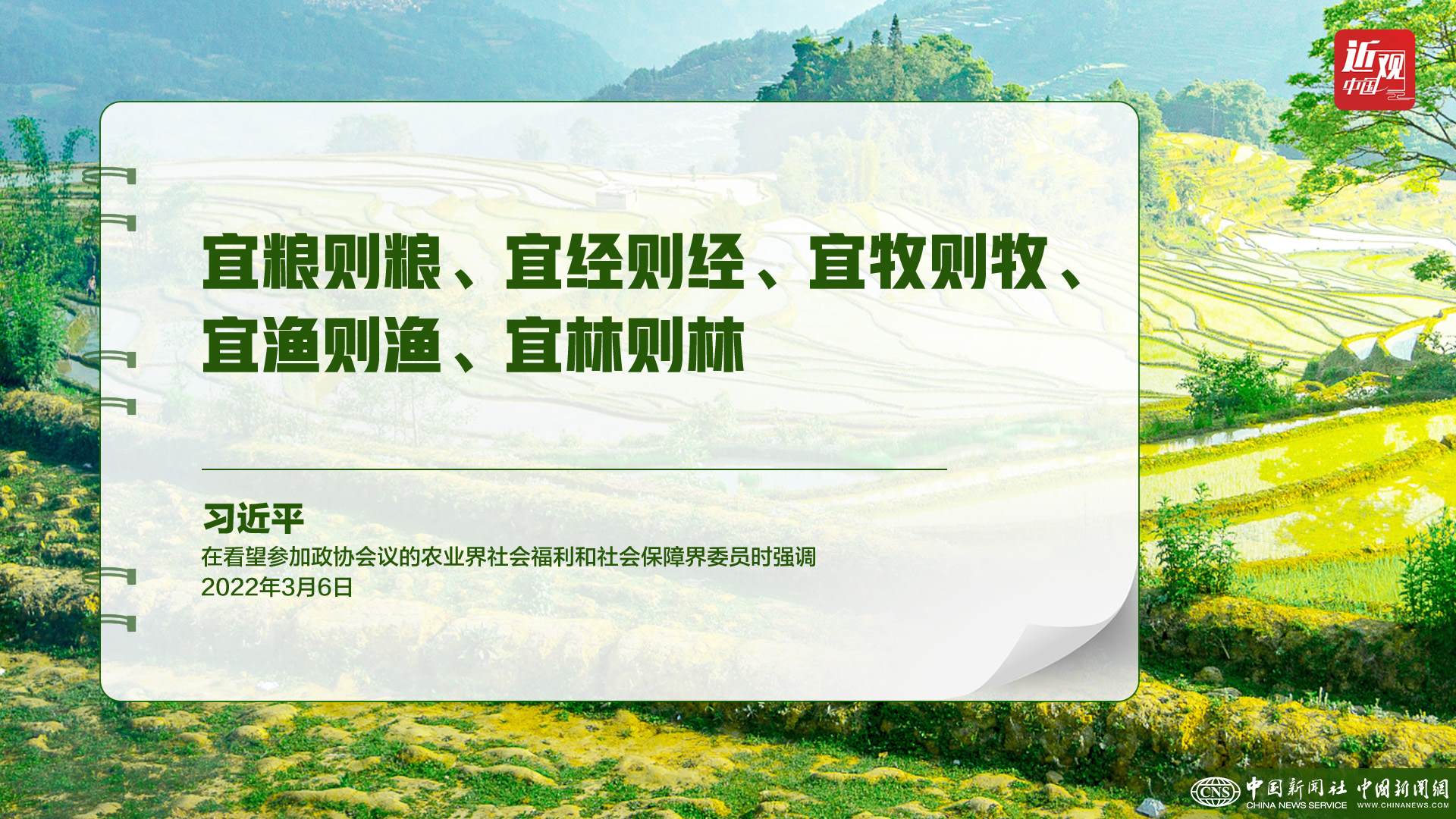 習近平：樹立大食物觀，構建多元化食物供給體系