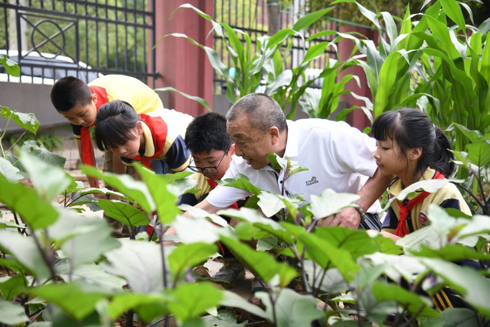 5月31日，老師帶領(lǐng)學(xué)生在之江小學(xué)勞動實踐基地學(xué)習(xí)蔬菜知識。新華社記者 胥冰潔 攝