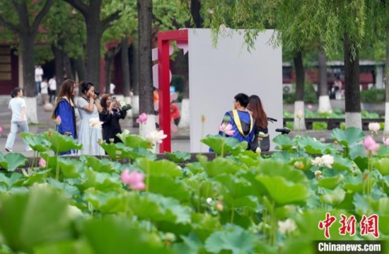 6月19日，時值一年畢業(yè)季，四川大學(xué)望江校區(qū)荷花池里的荷花盛開，成為了畢業(yè)生們的打卡圣地，吸引了眾多畢業(yè)生拍照留念。圖為畢業(yè)生在荷花池邊拍照留念。中新社記者 安源 攝