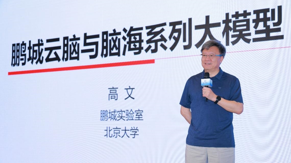 高文院士做大會(huì)特邀報(bào)告。主辦方供圖