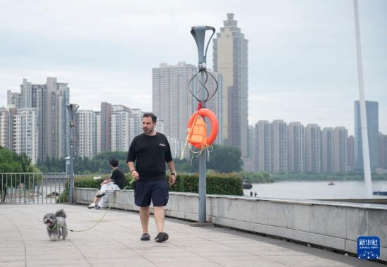 7月20日，在安徽蕪湖市，馬丁在長江邊遛狗。新華社記者 傅天 攝
