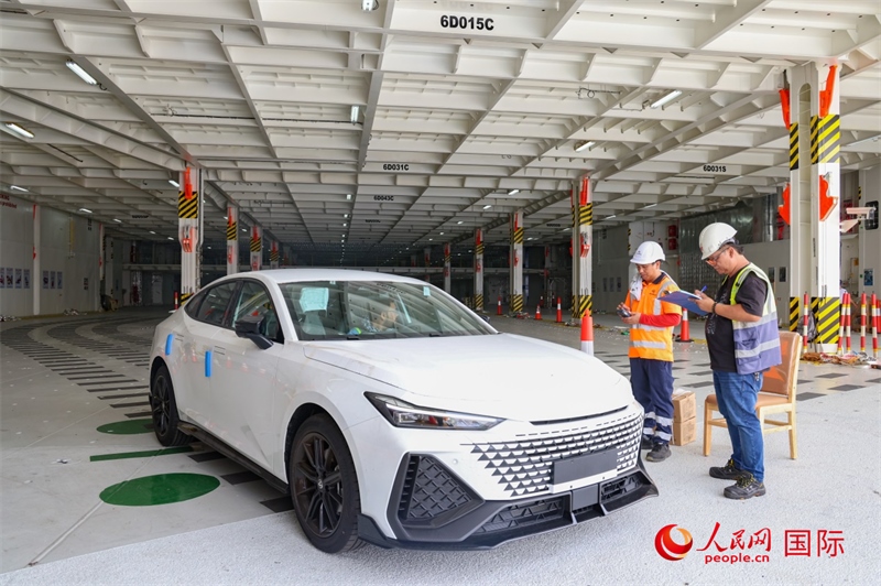工人正在進(jìn)行卸車作業(yè)。人民網(wǎng)記者 任皓宇攝