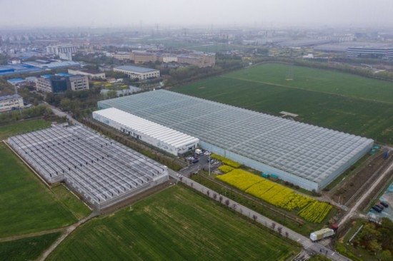 2024年3月28日，空中俯瞰嘉興南湖區(qū)湘家蕩農(nóng)業(yè)數(shù)字化工廠（無(wú)人機(jī)照片）。該農(nóng)業(yè)數(shù)字化工廠占地總面積約62畝，包含智慧農(nóng)業(yè)生產(chǎn)、物聯(lián)網(wǎng)智能管理、自動(dòng)分揀包裝、保鮮儲(chǔ)藏物流、高科技示范展示等五大功能區(qū)，可直接或間接培養(yǎng)帶動(dòng)新型職業(yè)技術(shù)農(nóng)民500人以上。新華社記者 徐昱 攝