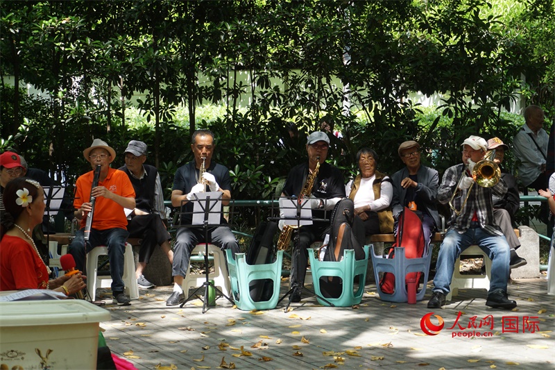 成都居民在公園里演奏歌曲。人民網(wǎng) 王禹蘅攝