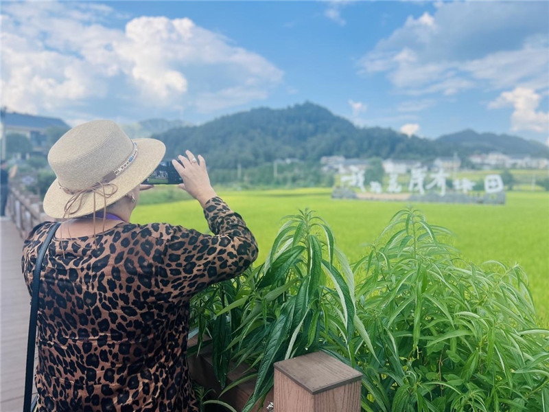 “我在花茂有塊田”，不僅是中國(guó)人的詩(shī)和遠(yuǎn)方，也是塔吉克斯坦“阿維斯塔”通訊社總編輯占納特洪·庫(kù)爾班諾娃的“烏托邦”。（張亞欣攝）