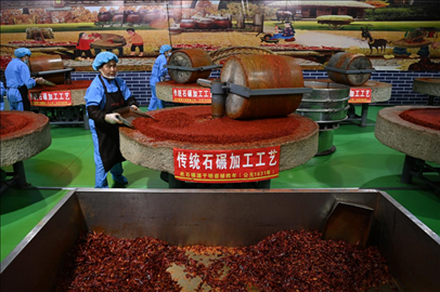 工人用電動石碾加工辣椒面。新華社記者 范培珅 攝