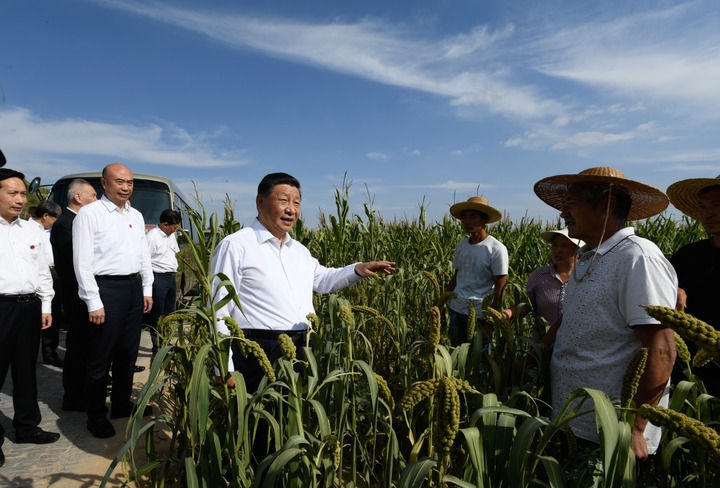 2021年9月13日至14日，中共中央總書記、國(guó)家主席、中央軍委主席習(xí)近平在陜西省榆林市考察。這是13日下午，習(xí)近平在米脂縣銀州街道高西溝村臨時(shí)下車，察看糧食作物長(zhǎng)勢(shì)，同正在田間勞作的老鄉(xiāng)拉家常。新華社記者 李學(xué)仁 攝