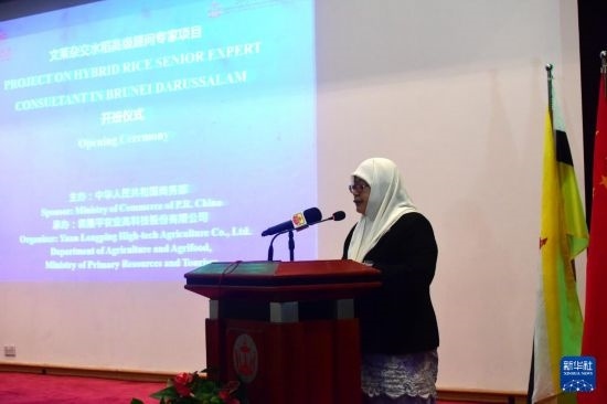 10月26日，文萊初級資源與旅游部常任秘書圖蒂亞蒂在斯里巴加灣市出席中國與文萊雜交水稻高級專家顧問項目啟動儀式。新華社記者 李萌 攝