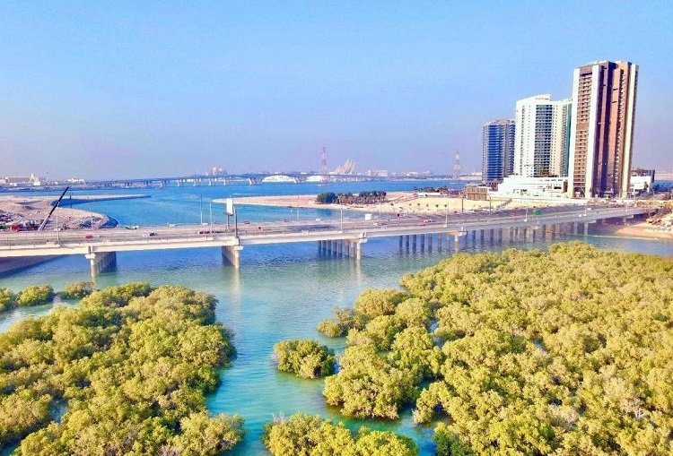 圖為瑞姆橋施工現(xiàn)場。中國土木供圖