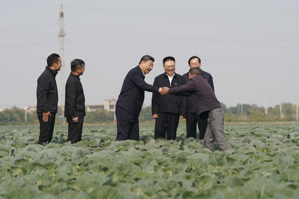 2024年11月5日，習近平在咸寧市嘉魚縣潘家灣鎮(zhèn)十里蔬菜長廊考察時，同菜農(nóng)親切交流。