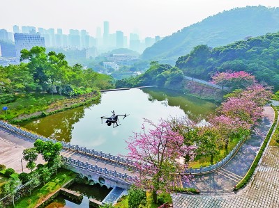無人機在深圳塘朗山郊野公園里巡檢。新華社發(fā)
