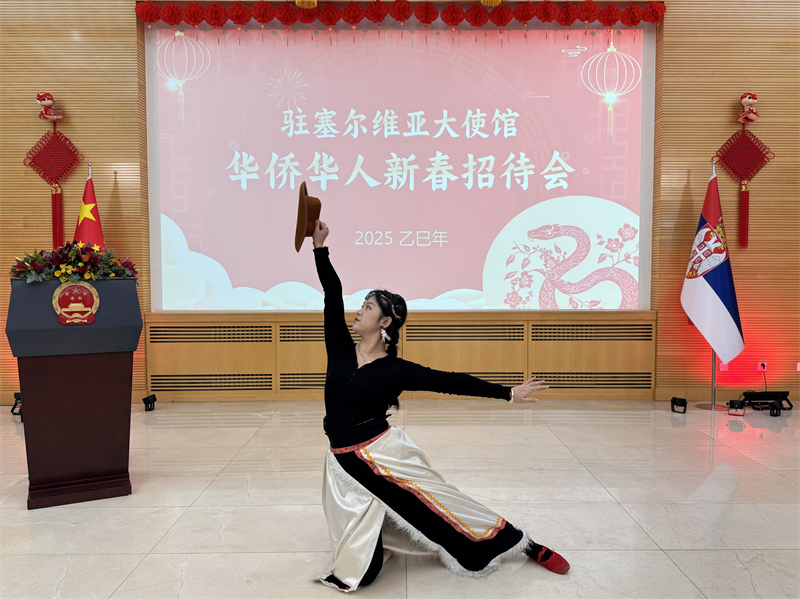 招待會(huì)現(xiàn)場表演。諾維薩德孔子學(xué)院供圖