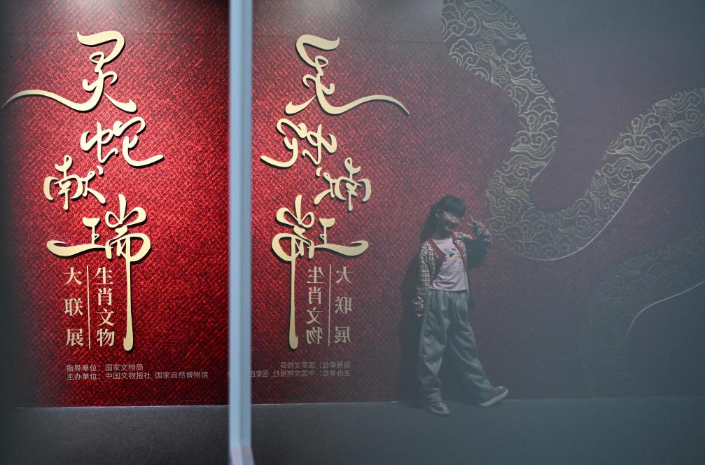 1月18日，一名小朋友在國(guó)家自然博物館舉辦的“靈蛇獻(xiàn)瑞——2025乙巳蛇年生肖文物大聯(lián)展”展覽中拍照留念。（新華社記者 陳鐘昊 攝）