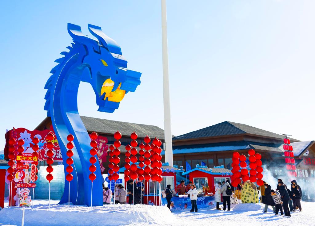 2025年1月，游客在遼寧錦州東方華地城海洋冰雪王國內(nèi)游覽。新華社發(fā)