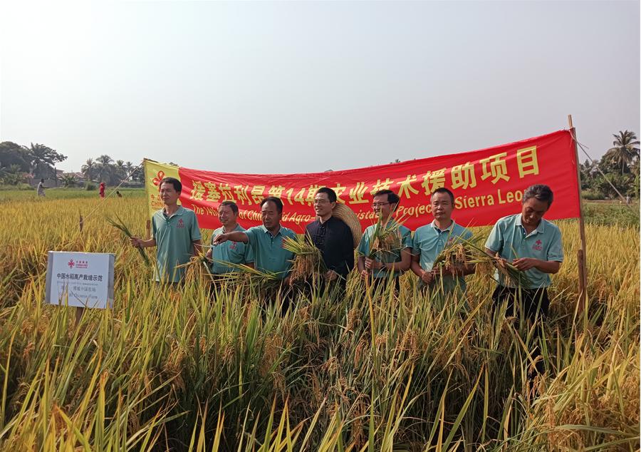 中國駐塞拉利昂大使王擎和援塞農(nóng)業(yè)專家組合影。中國援塞農(nóng)業(yè)專家組供圖