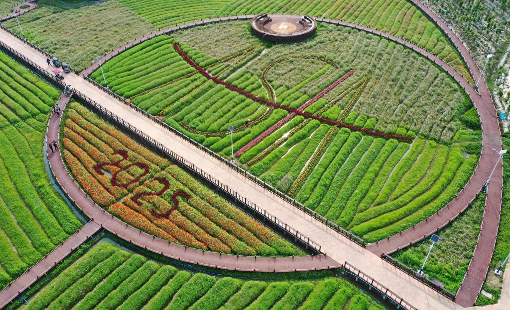 這是3月21日拍攝的瓊海博鰲南強(qiáng)村景色（無人機(jī)照片）。新華社記者 郭程 攝
