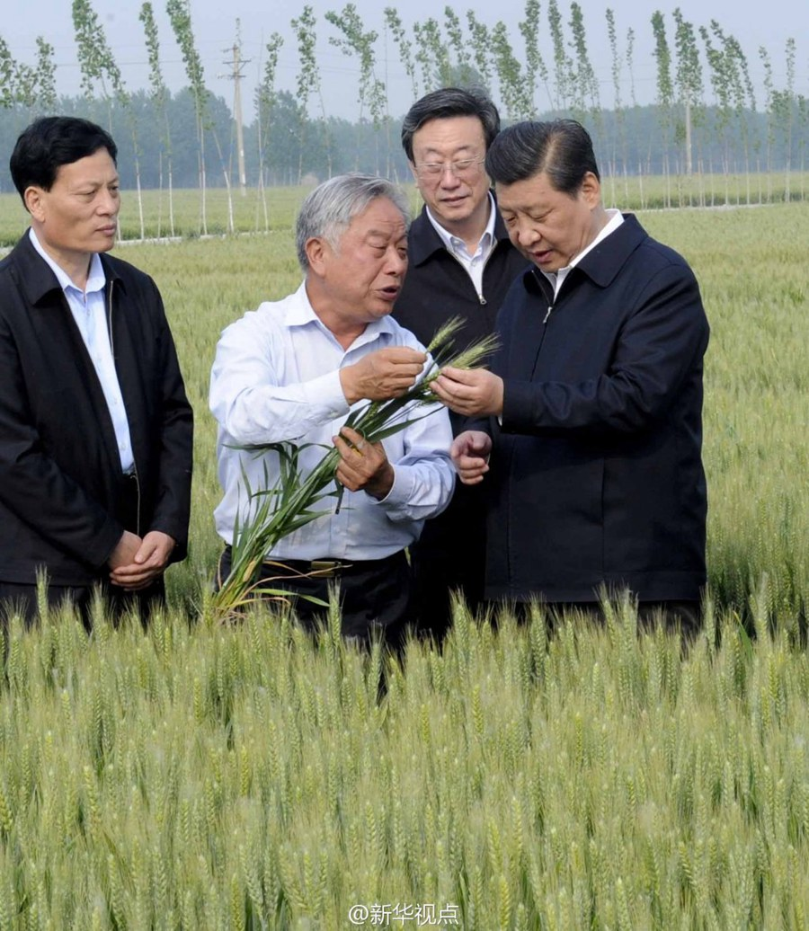 2014年5月，習(xí)近平總書記在河南省尉氏縣張市鎮(zhèn)高標(biāo)準(zhǔn)糧田察看小麥長勢。