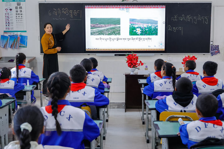 2024年9月27日，在四川省甘孜藏族自治州道孚縣城關(guān)第一完全小學(xué)，采取“藏加模式”教學(xué)的五年級(jí)一班的藏語(yǔ)文課上，準(zhǔn)木周老師指導(dǎo)藏族學(xué)生以家鄉(xiāng)草原風(fēng)物為主題寫(xiě)作藏語(yǔ)文作文。新華社記者 沈伯韓 攝
